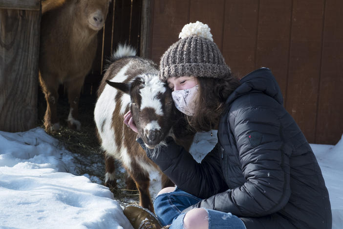 A reader asks: I want to have a private cuddle session with some goats but am concerned that the goats may have cuddled with other people. What's the COVID risk? Note: The goat and human in the photo above are part of the same pandemic pod.