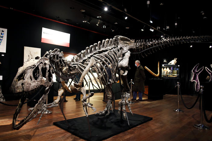 A skeleton of an <em>Allosaurus</em> on display at Drouot auction house in Paris in October. A new theory says the dinosaurs were killed by a comet fragment that originally came from the edge of the solar system.