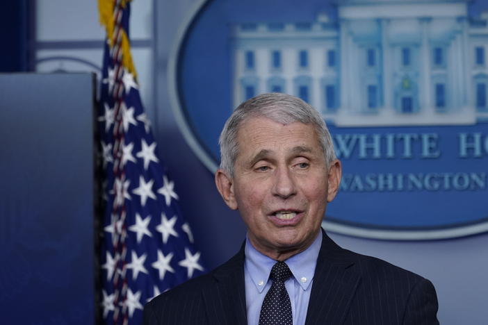 Dr. Anthony Fauci, director of the National Institute of Allergy and Infectious Diseases, speaks with reporters in the James Brady Press Briefing Room at the White House last month.