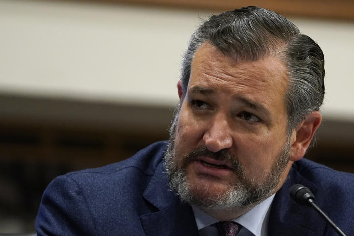 Sen. Ted Cruz, R-Texas, speaks during a Senate Foreign Relations Committee in September.