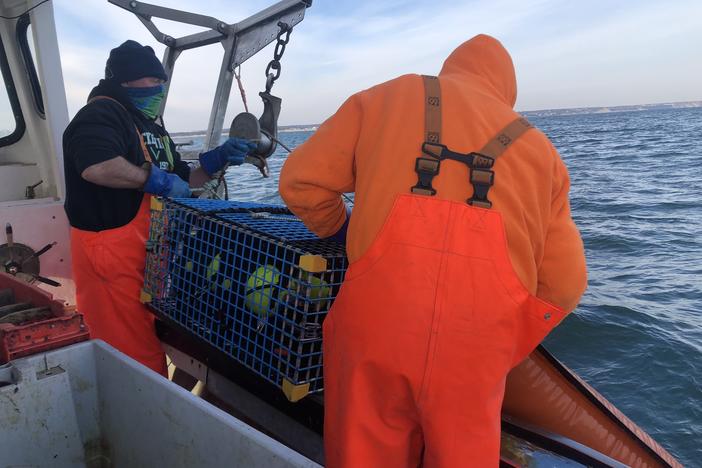 Rob Martin, who has been fishing off his boat for the last 29 years, and his partner haul up a 150-pound end trap while ropeless lobster fishing in Cape Cod Bay in Massachusetts.