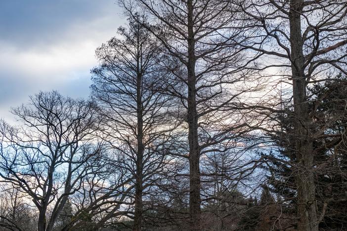 The landscape at Longwood Gardens, Kennett Square, Pa., is still beautiful in the winter.