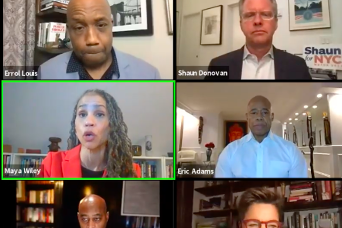 A recent gathering of New York City mayoral candidates on Zoom.