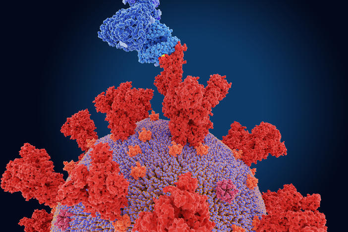 The coronavirus variant first spotted in South Africa alarms scientists because it evolved a mutation, known as E484K, that appears to make it better at evading antibodies produced by the immune system.