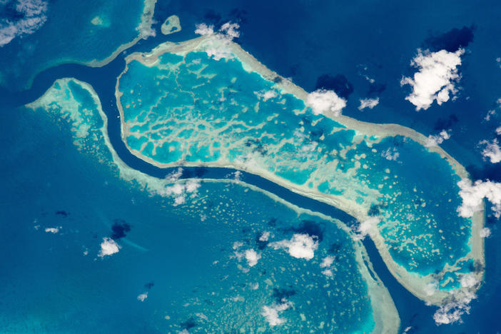 A portion of Australia's Great Barrier Reef photographed from the International Space Station. The Flinders Reef area of the Great Barrier Reef is one of 11 sites around the world where scientists are looking for decisive geological evidence of a new epoch called the anthropocene.