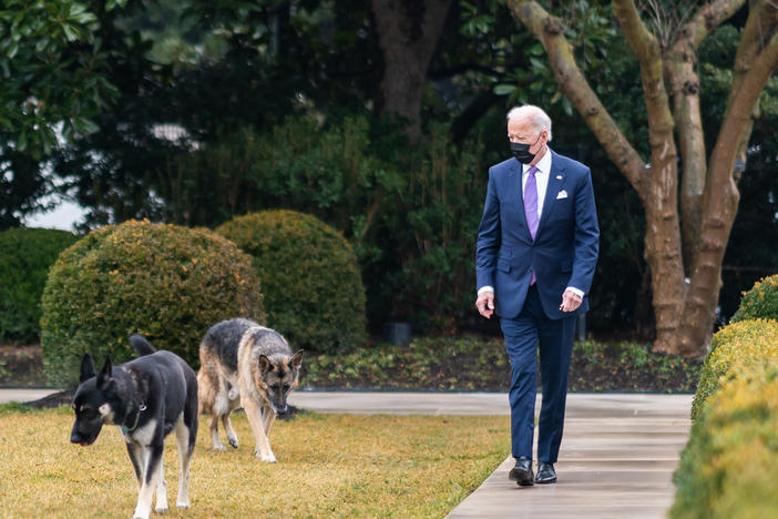 President Biden walks with his dogs Major and Champ in the Rose Garden of the White House.