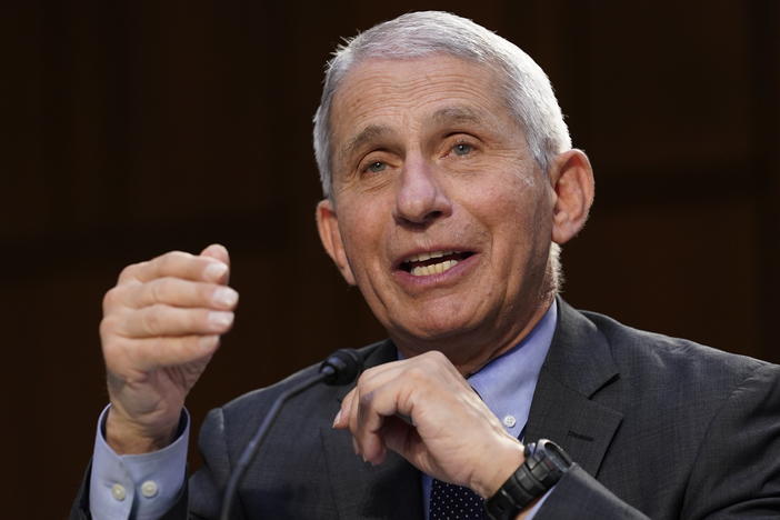 Dr. Anthony Fauci, director of the National Institute of Allergy and Infectious Diseases, testifies during a Senate hearing last month on the federal coronavirus response.