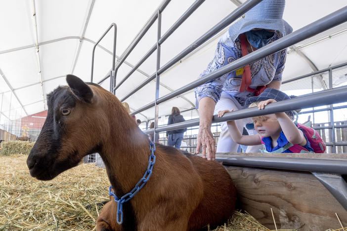 A group of more than 80 people with an interest in animal welfare, including Dr. Jane Goodall, have signed a letter calling on the editors of the Associated Press Stylebook to change their guidance on the use of animals pronouns.