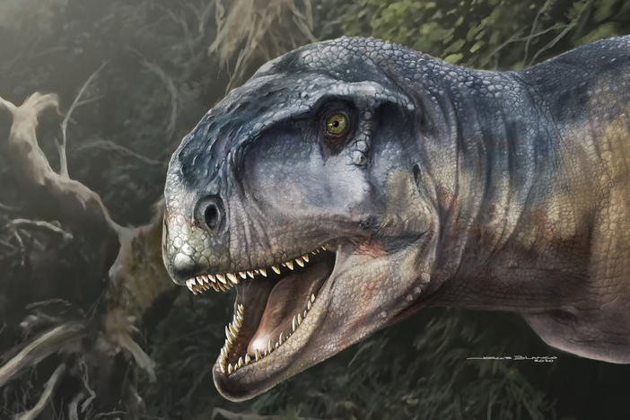 An artist's impression of the Cretaceous Period meat-eating dinosaur Llukalkan aliocranianus that lived about 80 million years ago in the Patagonia region of Argentina is seen in this handout photo.
