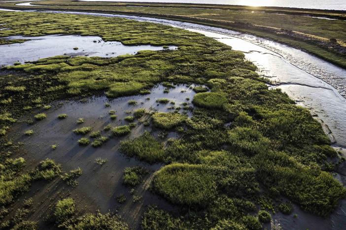 Coastal communities are racing to restore marshes, like these in San Francisco Bay, to provide a barrier against storm surges and rising seas.