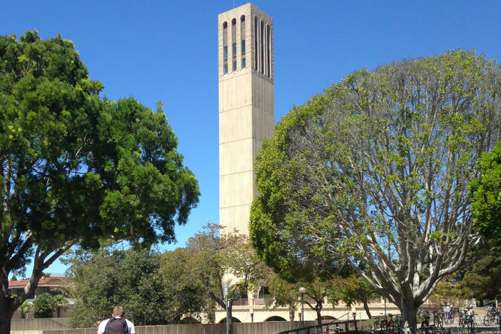 Lisa Przekop, director of admissions at University of California, Santa Barbara, says that many high schoolers this year wrote their application essays about depression and anxiety during the pandemic.