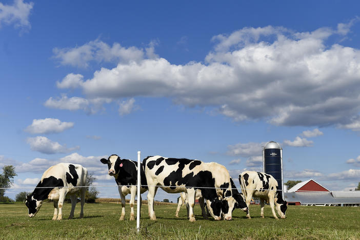 Digital food magazine Epicurious has announced it will stop publishing new recipes featuring beef in an effort to promote more sustainable cooking.
