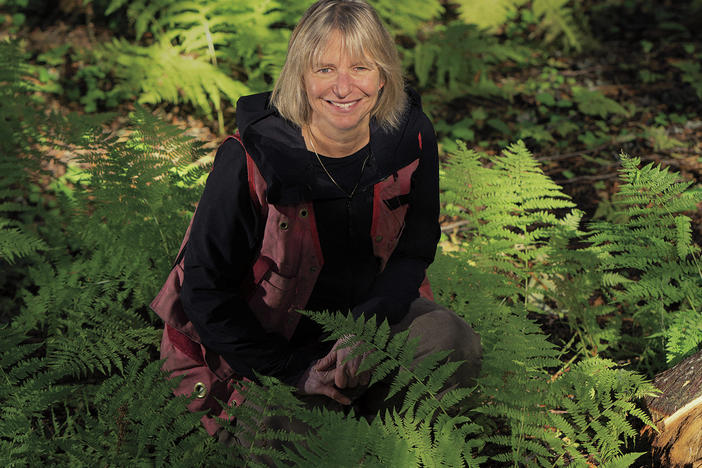 Suzanne Simard is a professor of forest ecology at the University of British Columbia. Her own medical journey inspired her research into, among other things, the way yew trees communicate chemically with neighboring trees for their mutual defense.