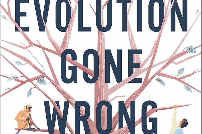 <em>Evolution Gone Wrong: The Curious Reasons Why Our Bodies Work (Or Don't)</em>, by Alex Bezzerides