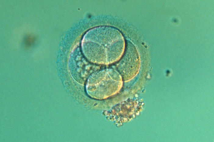 New guidance would ease restrictions on researching embryos in the lab.