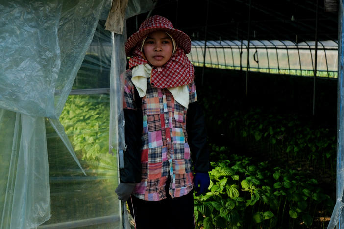 A Cambodian migrant farm worker stands outside the greenhouse where she works growing vegetables in Miryang, South Korea.