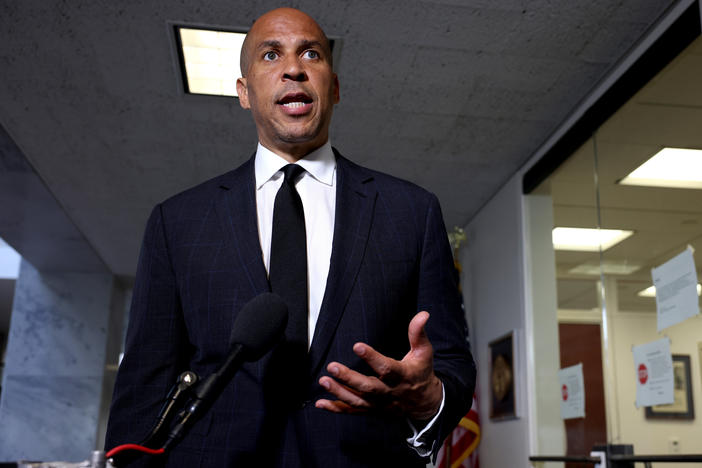 Democratic senators, led by Cory Booker of New Jersey, say they worry about how Google's products and policies may perpetuate bias.