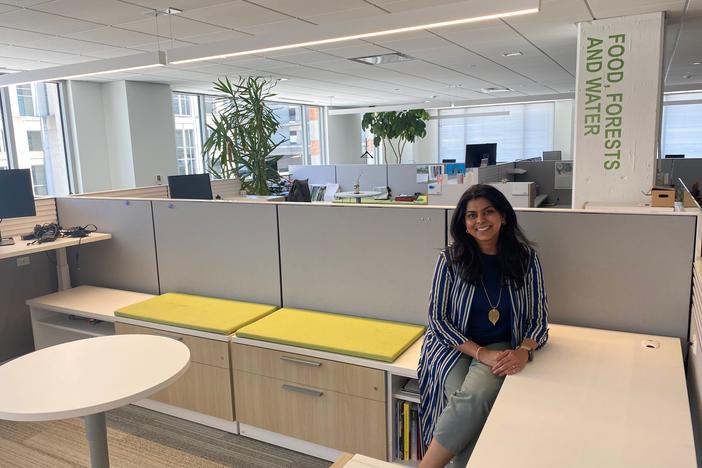 Renuka Iyer, chief human resources officer for the World Resources Institute, sits in an empty office. The environmental nonprofit's staff has been working remotely since March 2020.