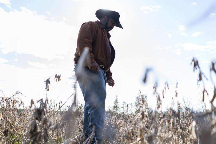 President of the National Black Farmer's Association John Boyd stands in his fields in Baskerville, Va. He says the USDA's relief program is "like the fox watching the hen house."