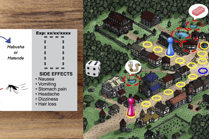 Students around the world were challenged to fight disease rumors in a 24-hour hackathon. From left: A proposed pill package featuring a Tanzanian comic character, designed by a team from Boston University. A board game to help teach kids about schistosomiasis created by students from Sharif University of Technology in Tehran, Iran, and the Complexity Science Hub in Vienna.