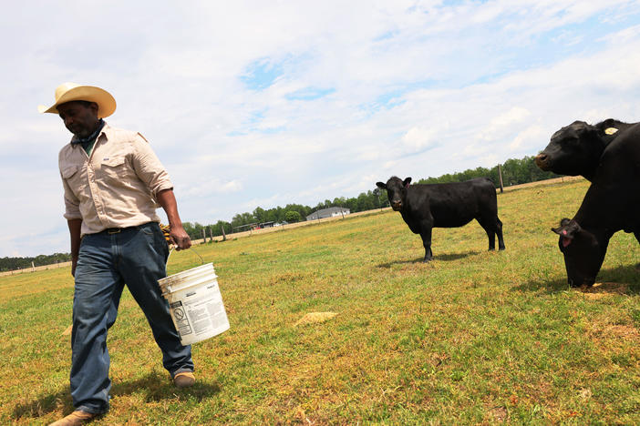 Handy Kennedy, founder of AgriUnity cooperative, feeds his cows on HK Farms earlier this year in Cobbtown, Ga. The AgriUnity cooperative is a group of Black farmers formed to better their chances of economic success.