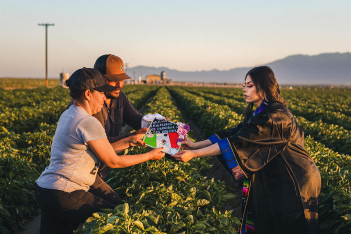 When relaying why she chose the farm fields for her college graduation photo shoot, Jennifer Rocha explained it's because that's where her parents "sacrificed their backs, their sweat, their early mornings, late afternoons, working cold winters, hot summers just to give me and my sisters an education."