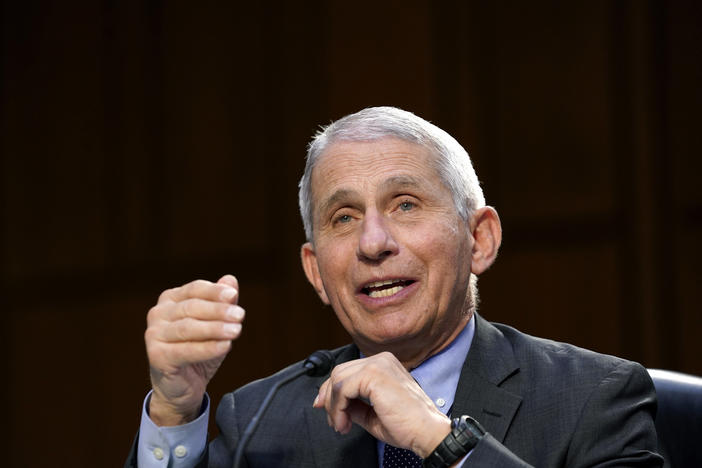 In this March 18, 2021 file photo, Dr. Anthony Fauci testifies during a Senate Health, Education, Labor and Pensions Committee hearing.