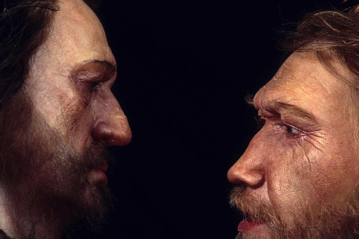 Reconstructions from the Daynès Studio in Paris depict a male Neanderthal (right) face to face with a human, <em>Homo sapiens</em>.