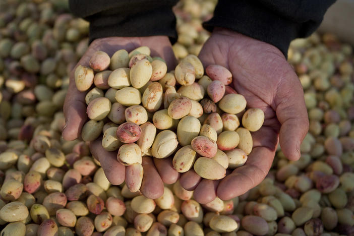 California is the top nut grower in the U.S. The booming industry that has attracted organized agricultural crime rings. (AP Photo/Justin Kase Conder)