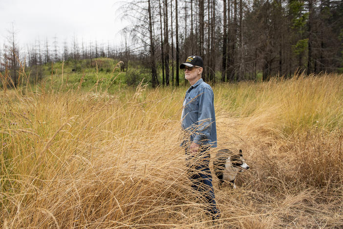 Francis Dairy examines the damage on the property near the home he shared with his wife, Brenda Dairy, in Gates, Ore. The home was destroyed by the Beachie Creek Fire in 2020.