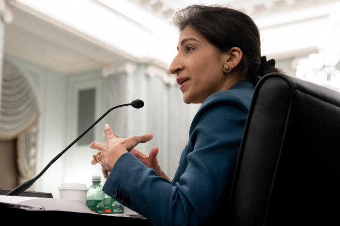 Federal Trade Commission chair Lina Khan is one of the most prominent progressive voices calling for more aggressive curbs on the dominance of big companies.