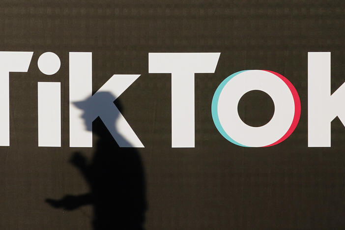 Black creators on TikTok have joined a widespread strike over what some are criticizing as cultural appropriation on the popular video app.
