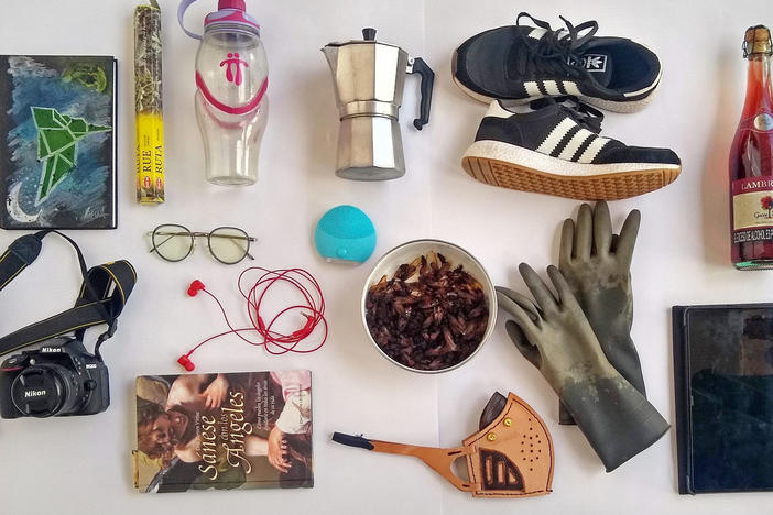 Top row, left to right: Notebook, incense, water bottle, coffee maker, sneakers, wine. Bottom row, left to right: camera, glasses, book, headphones, facial cleansing device, edible ants in a bowl, mask, gloves, tablet.
