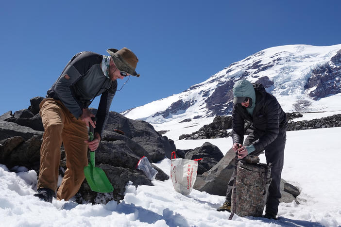 Though they're called ice worms, the creatures Hotaling (right) and his colleagues study on the glaciers of Mount Rainier can't handle the slightest bit of freezing. If temperatures dip even slightly below zero degrees Celsius (32 degrees Fahrenheit), Hotaling says, the worms die.