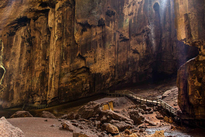 Dark, dank and secluded, the Gomantong Cave is a four-star hotel for bats.