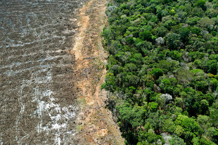 Aerial picture of a deforested area close to Sinop, Mato Grosso State, Brazil, taken on August 7, 2020. Mato Grosso is one of the leading producers of soybeans in the world.