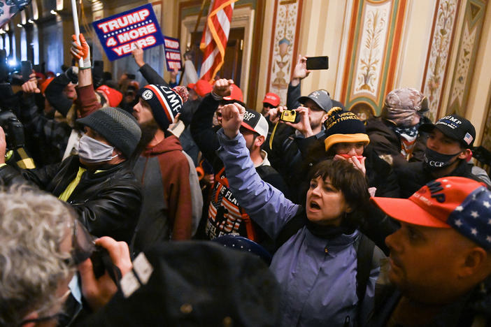 Trump supporters breach security and storm inside the U.S. Capitol on Jan. 6. The woman in blue with her fist raised was later identified as Suzanne Ianni.