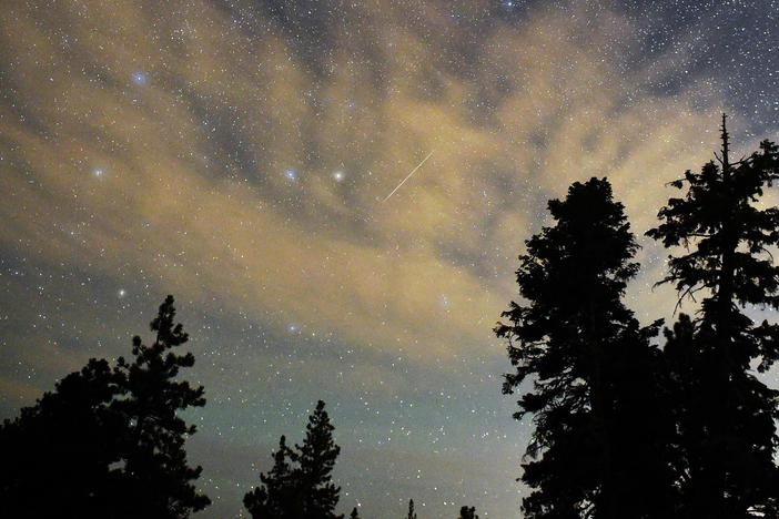 A Perseid meteor streaks across the sky above desert pine trees in the Spring Mountains National Recreation Area, Nevada. The annual display, known as the Perseid shower because the meteors appear to radiate from the constellation Perseus in the northeastern sky, is a result of Earth's orbit passing through debris from the comet Swift-Tuttle.