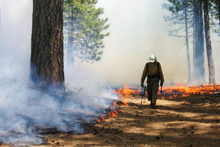 Controlled burns, like this one in Lassen Volcanic National Park, reduce the risk of extreme fires by clearing flammable brush.