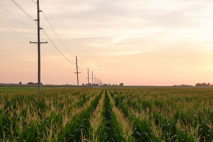 Cruz Urias Beltran collapsed because of heat-related illness while working in a cornfield near Grand Island, Neb., in 2018. He is one of at least<strong> </strong>384 workers who died from environmental heat exposure in the U.S. in the last decade, according to an investigation by Columbia Journalism Investigations and NPR.