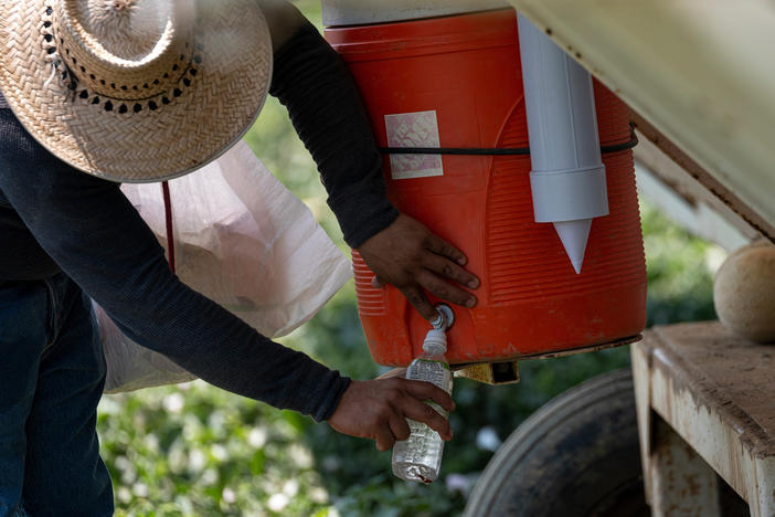 A worker fills a bottle with water on a farm during a drought in Firebaugh, Calif., on July 13.