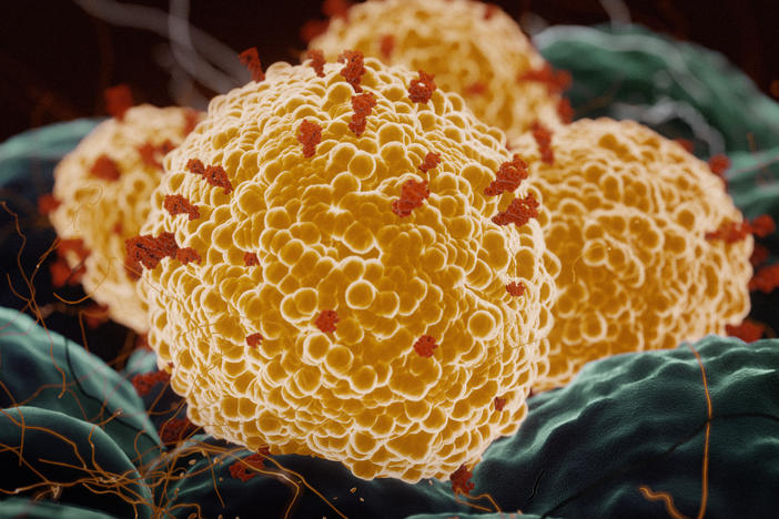 Researchers at the University of Texas Medical Branch are helping to test the Pfizer-BioNTech COVID-19 vaccine against coronavirus variants.