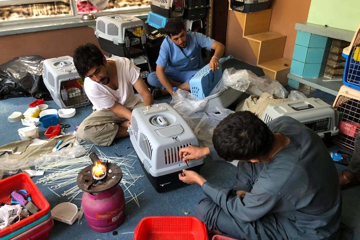 Staff members at the Kabul Small Animal Rescue are working to put together travel crates so the organization's dogs and cats can safely be evacuated out of Afghanistan.