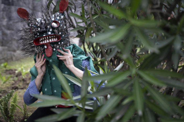 Blanca Cardenas, professor of ethnology at the National School of Anthropology and History, wears the mask "COVID Tiger," by Nahua artisan Armando Pascualeño from Zitlala, Guerrero, Mexico.