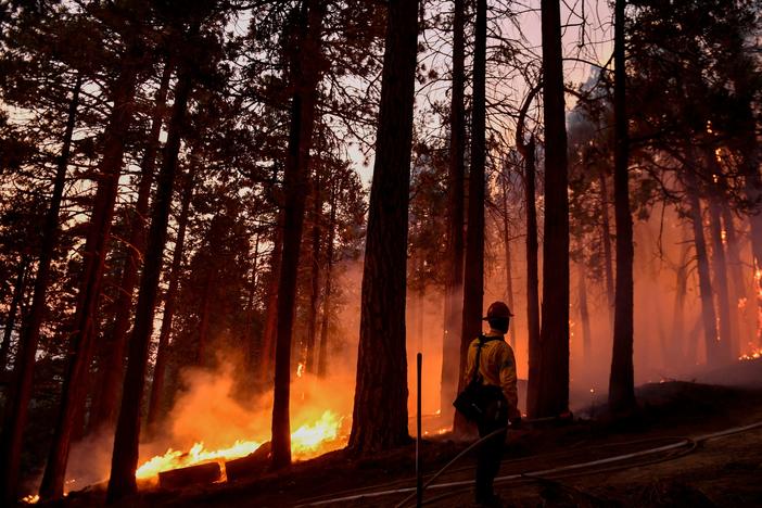 A Kern County firefighter keeps an eye on a burning tree as fire burns closer to homes during the French Fire in the Sequoia National Forest near Wofford Heights, Calif., this month.