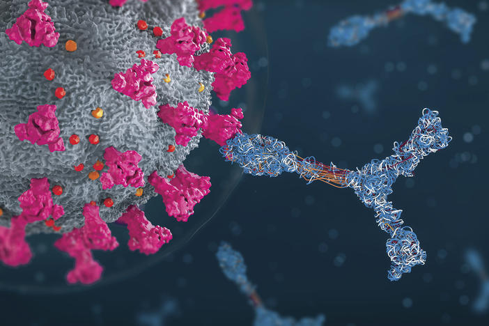An illustration of a coronavirus particle and antibodies (depicted in blue).