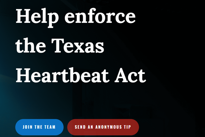 A screen capture of the website established by Texas Right to Life encouraging members of the public to submit "anonymous tips" about violators of the state's new restrictive abortion law.