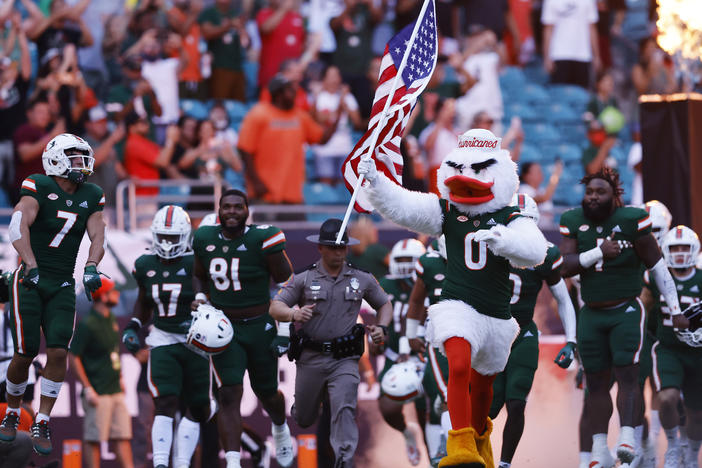 In the absence of a photo of the cat itself, please accept this photo of the University of Miami mascot leading the football team onto the field before the game against Appalachian State University.