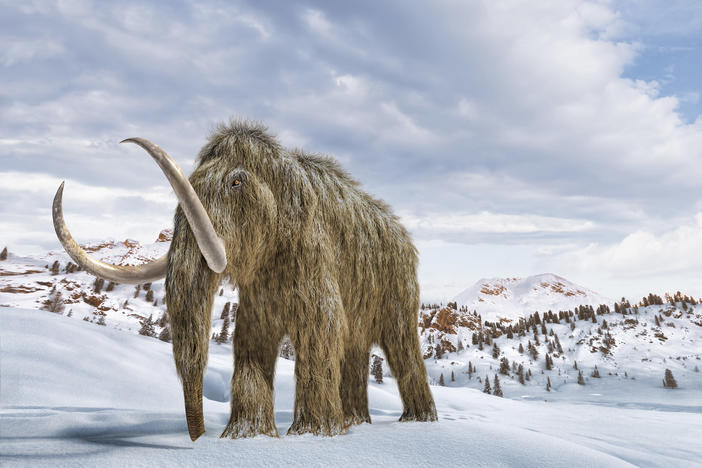 An artist's impression of a woolly mammoth in a snow-covered environment.