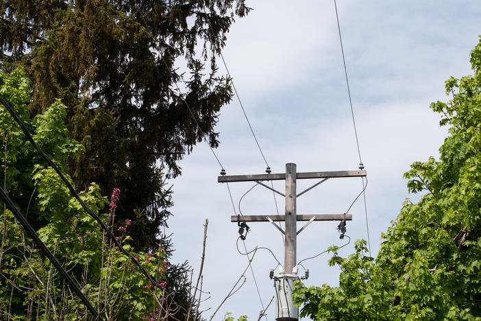 A patchwork of national and state regulations require utilities to trim around their power lines. More than a dozen of the country's largest utilities told NPR that falling trees and branches represent a leading cause of outages.